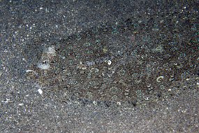 IMG_5663