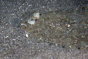 IMG_5667