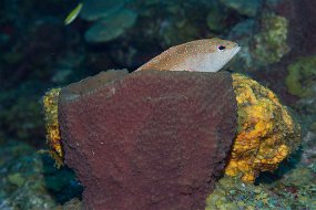 IMG_5680