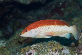 IMG_5681