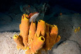 IMG_5736