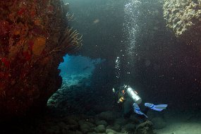 IMG_5779
