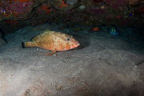 IMG_5793