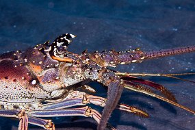 IMG_5826