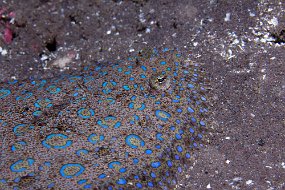 IMG_5832