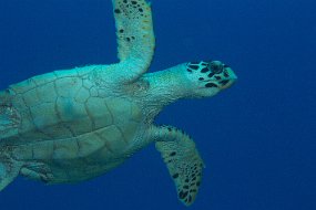IMG_5834