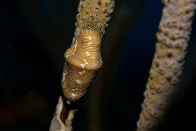 IMG_5849