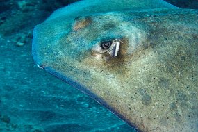 IMG_5859