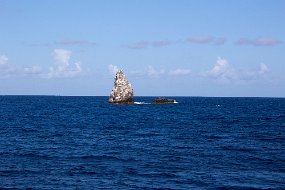 IMG_5877