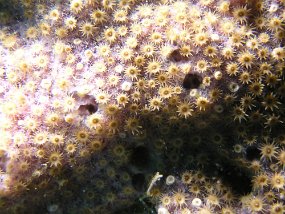 P3260128
