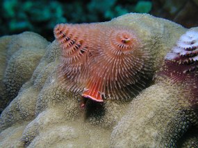 P3260130