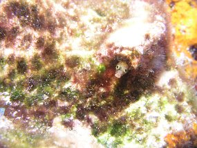 P3260136