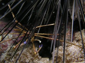P3260142
