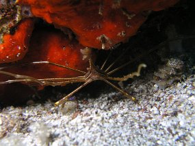 P3260168