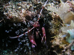 P3260170