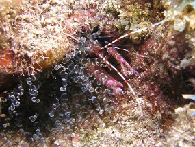 P3260173