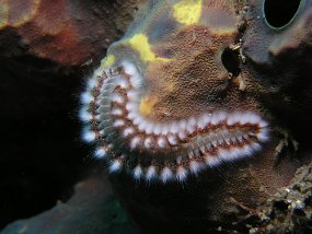 P3260183