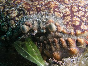 P3270206