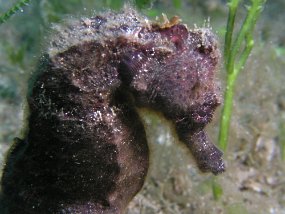 P3270211