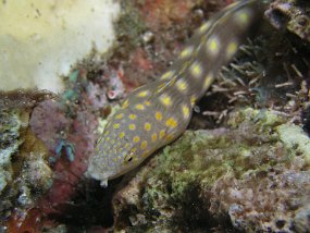 P3270246