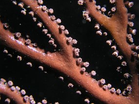 P3280251