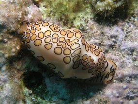 P3280262