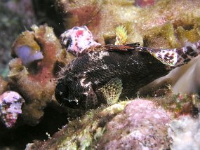 P3280293