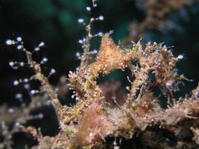 P3280304