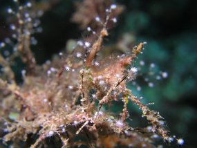 P3280309
