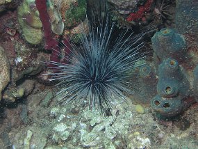 P3280313