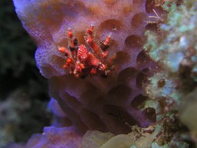 P3280323