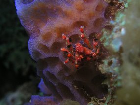P3280324