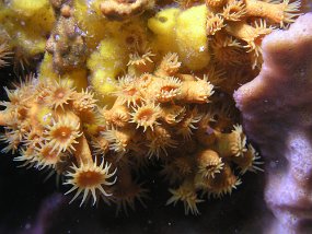 P3290329
