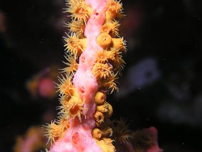 P3290336