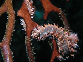 P3290337