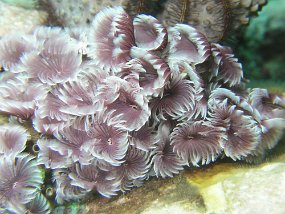 P3290342