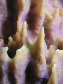 P3290347