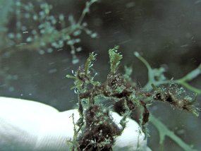 P3290383