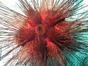 P3300414