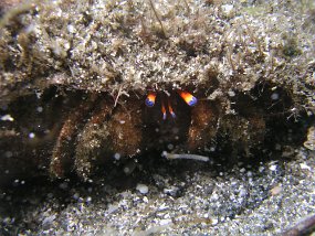 P3300468