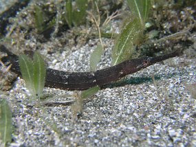 P3300470