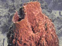 P5160179