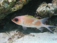 P5160208