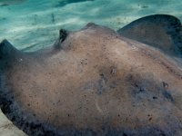 IMG_2503