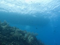 IMG_2528