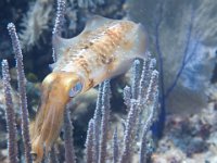 IMG_2580