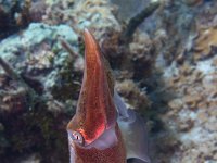 IMG_2587