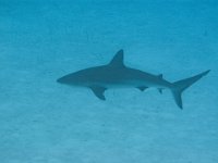IMG_2604