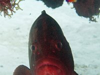 IMG_2621