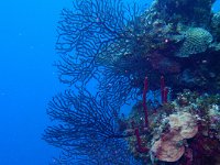 IMG_2640